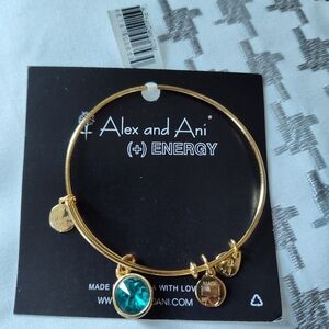 Alex and Ani Energy Bracelet